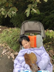 11月振り返り～秋を探そう週間、お芋ほりごっこ～